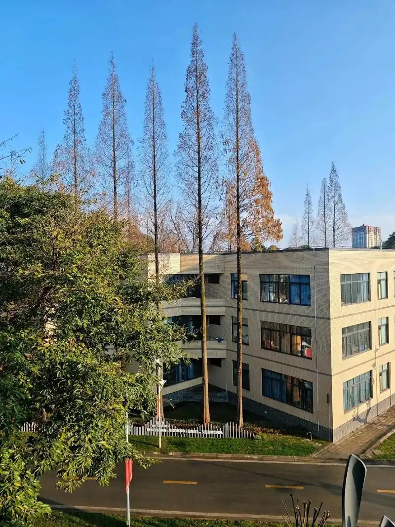 四川省专科院校一览表!附2025年录取分数线参考(图1) 四川省专科院校一览表!附2025年录取分数线参考(图1)