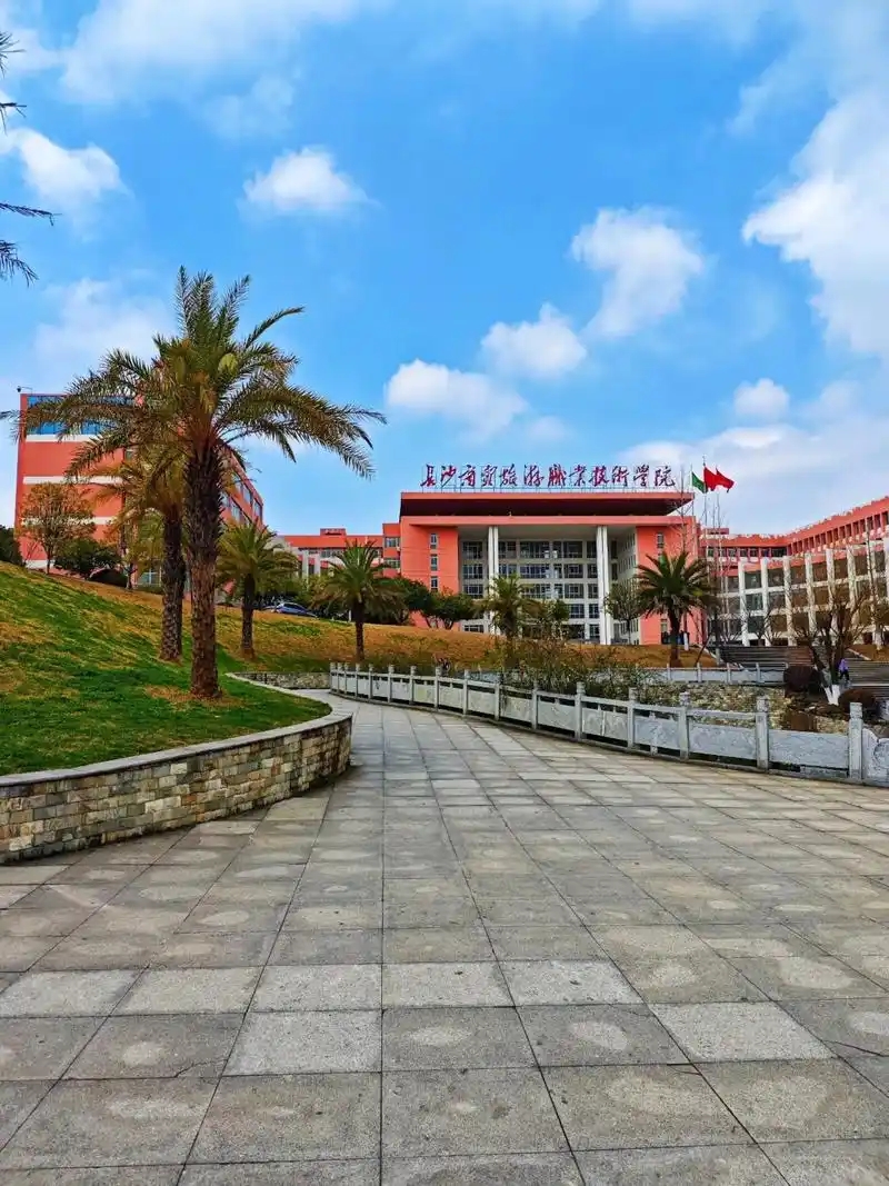 湖南省专科院校一览表！附2025年录取分数线参考(图1)