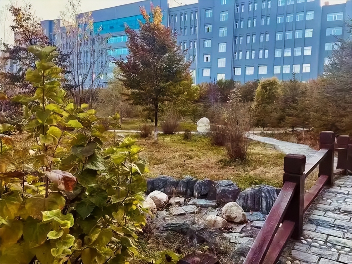 黑龙江省专科院校一览表！附2025年录取分数线参考(图2)