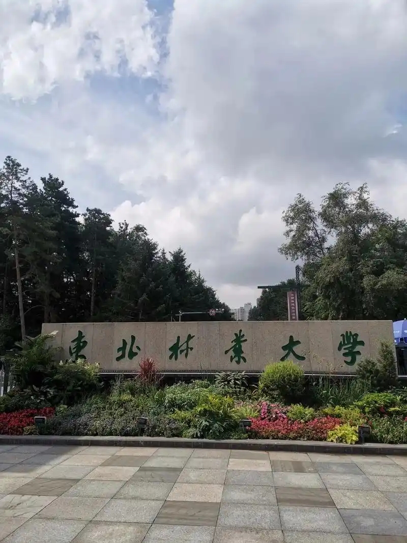 黑龙江211大学最低录取分数线（2026年参考）(图3)