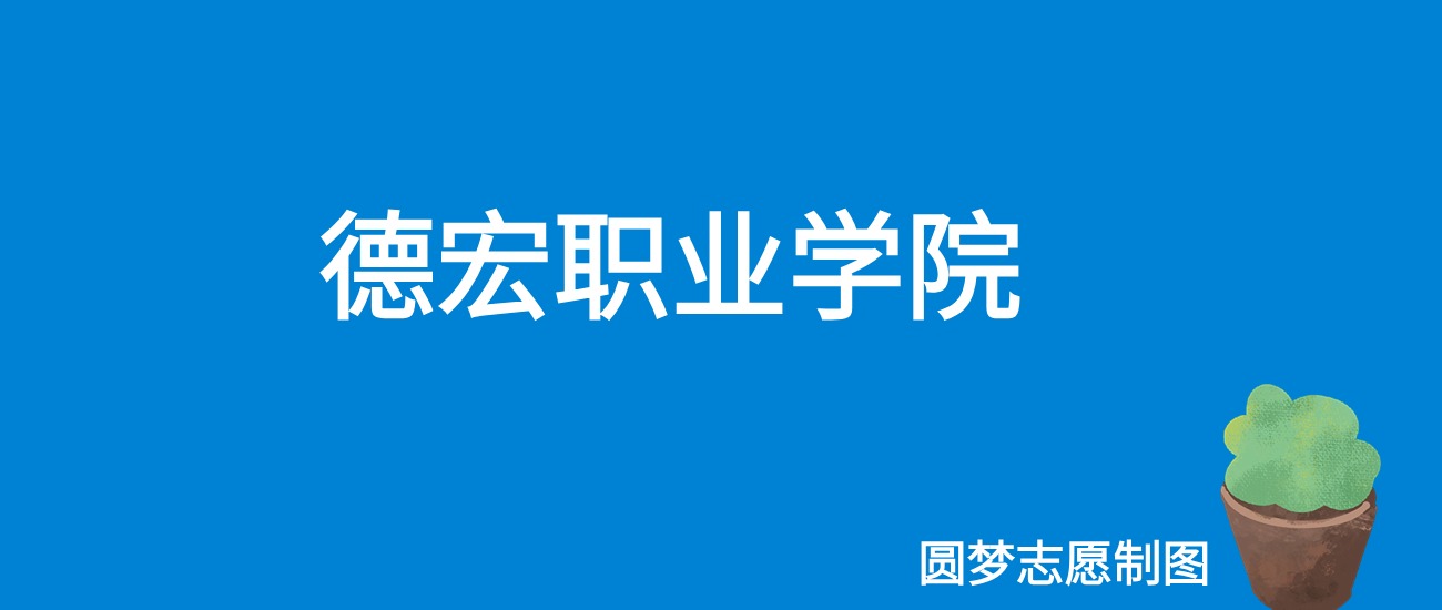 德宏职业学院2025年录取分数线（全国各省，2026参考）