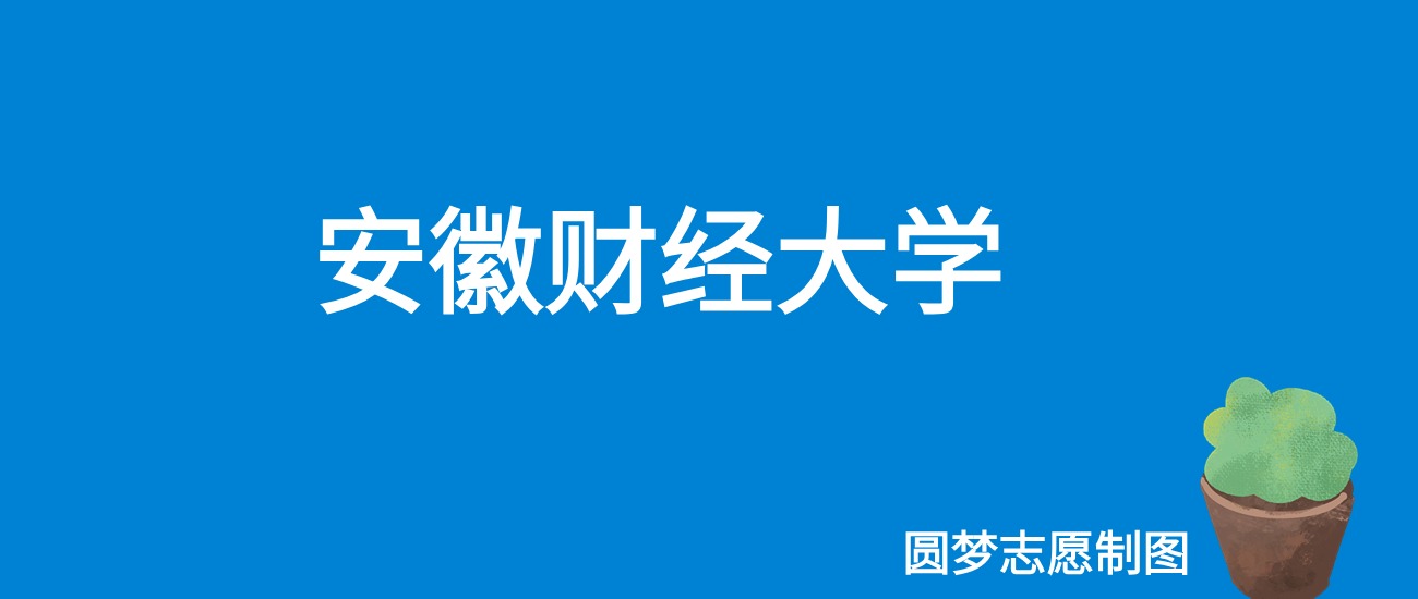 2025安徽财经大学录取分数线(全国各省最低分及位次)