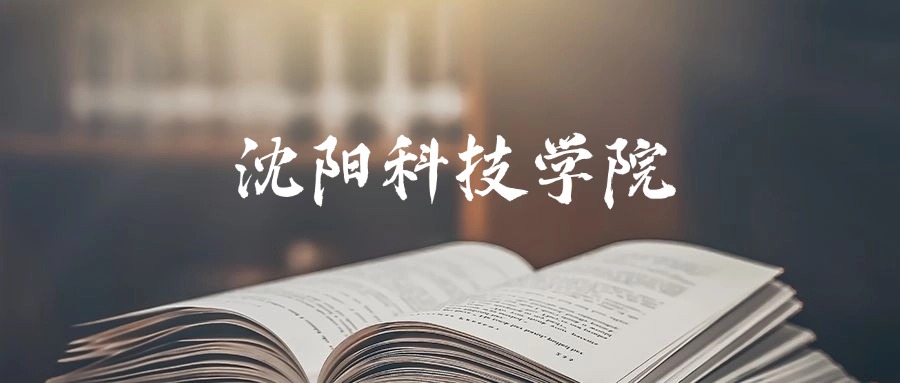 沈阳科技学院是一本还是二本?2025年本科最低378分录取