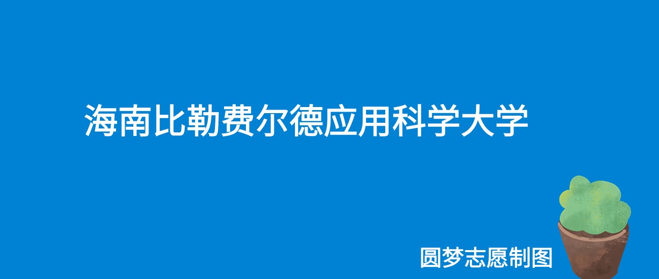 海南比勒费尔德应用科学大学上海录取分数线2025年是多少?附