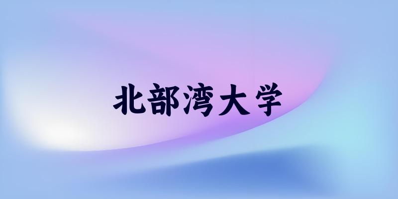 2025年北部湾大学在重庆全部专业录取位次、分数线 (附院校