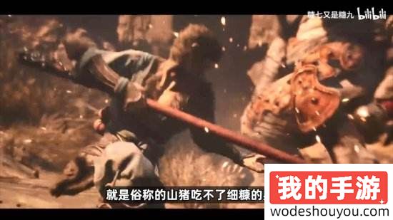 野猪吃不了细糠！国内博主锐评《黑神话》西方媒体评测：吃了没文化的亏