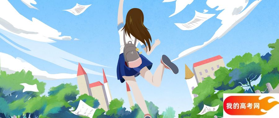 2025年宁夏新高考可以填多少个志愿？附志愿填报冲稳保比例(图1)