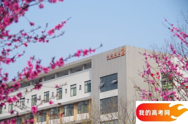 湘南幼儿师范高等专科学校2024年在贵州录取分数线、对应位次（附近几年最低录取分数线及位次排名）(图1)
