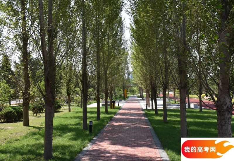 浙江高考成绩多少分能报考湖北中医药高等专科学校？附2022-2024年各专业录取位次排名(图1)