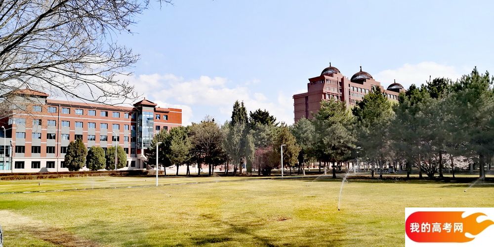 武汉理工大学2024年在浙江各专业录取分数线（附院校录取分数线录取位次）(图1)