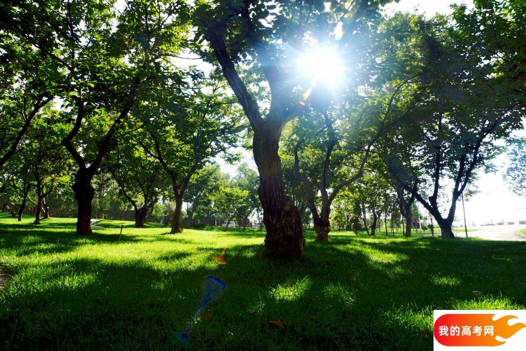 成都信息工程大学2024年在贵州各专业录取分数线（附院校录取分数线录取位次）(图1)