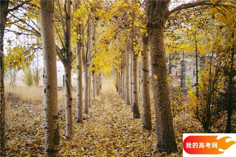 江西财经大学2024年在云南各专业录取分数线（附院校录取分数线录取位次）(图1)