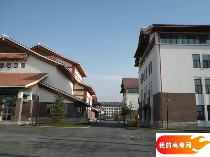 广东高考成绩多少分能报考大连工业大学？附2022-2024年各专业录取位次排名(图1)
