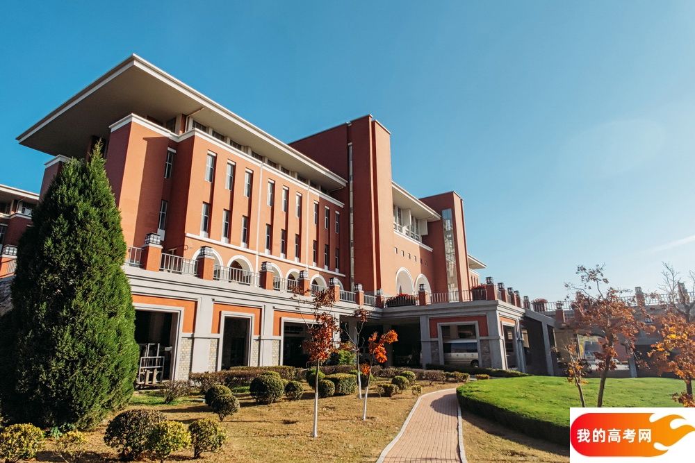 山东高考成绩多少分能报考中国矿业大学？附2022-2024年各专业录取位次排名(图1)