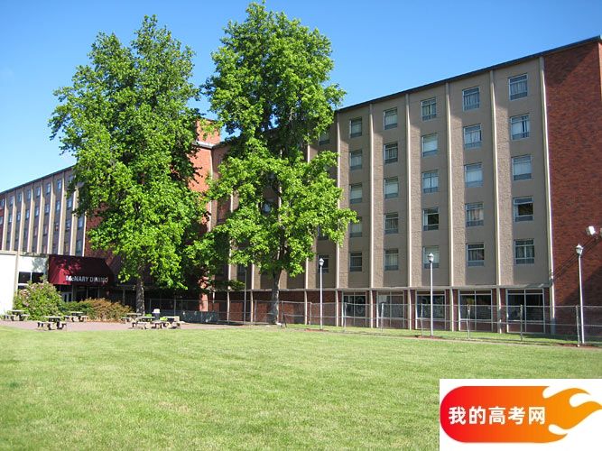 山东高考成绩多少分能报考白城师范学院？附2022-2024年各专业录取位次排名(图1)