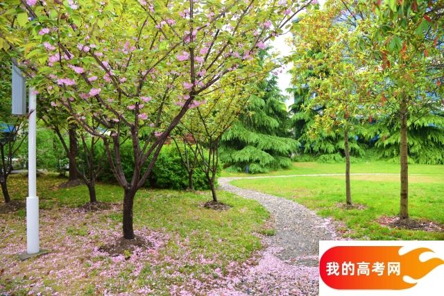 北京邮电大学2024年在湖南录取分数线、对应位次（附近几年最低录取分数线及位次排名）(图1)