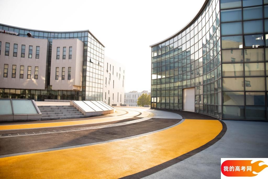 山东位次排名多少能上内蒙古大学？附2022-2024年专业录取最低分及位次(图1)