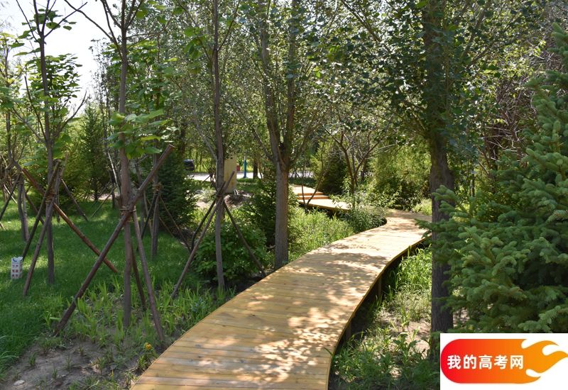 2024年南昌大学科学技术学院在四川录取分数线（附近几年最低位次排名）(图1)
