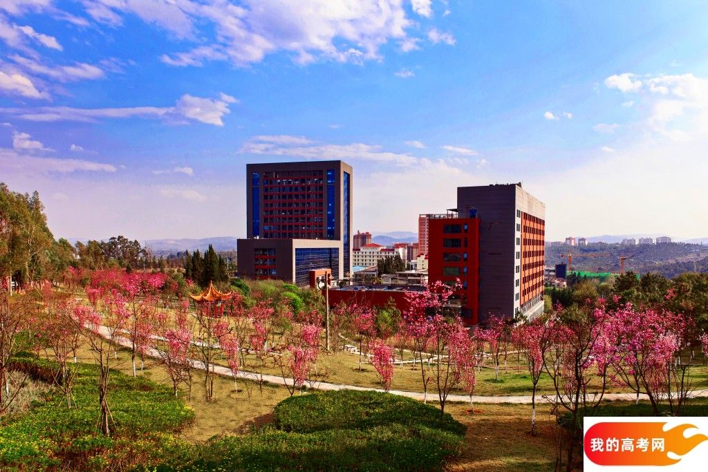 南京师范大学泰州学院2024年在江西录取分数线、对应位次（附近几年最低录取分数线及位次排名）(图1)