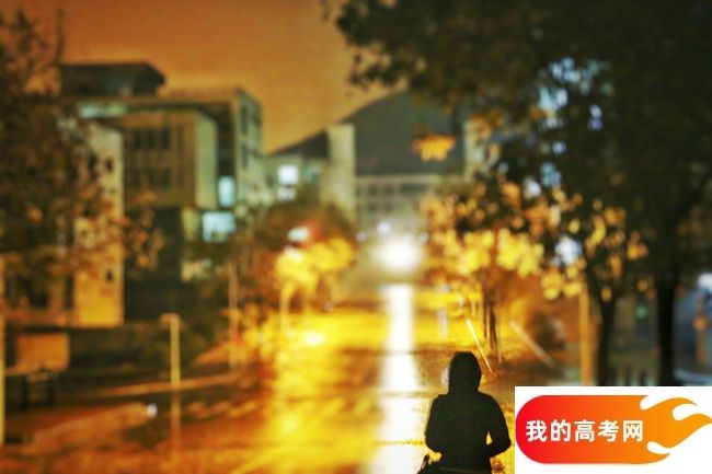 哈尔滨工业大学（深圳）2024年在浙江各专业录取分数线（附院校录取分数线录取位次）(图1)