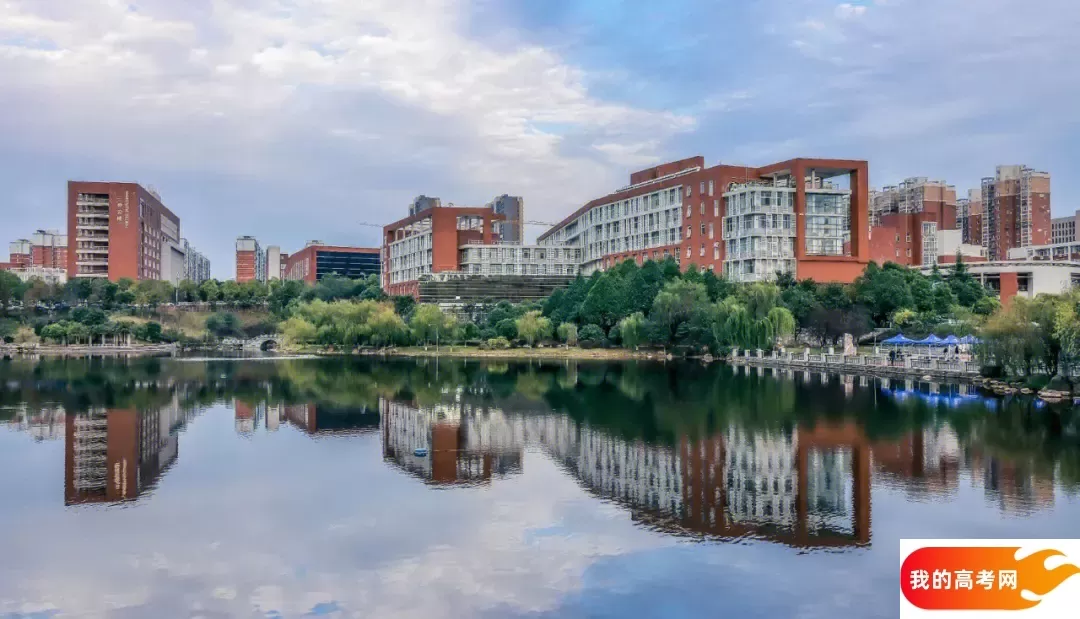 南京医科大学康达学院2024年在浙江各专业录取分数线（附院校录取分数线录取位次）(图1)