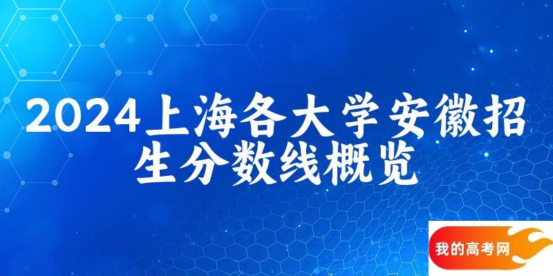 2024上海各大学安徽招生分数线概览：含本科批、国家专项计划本科批(图1)