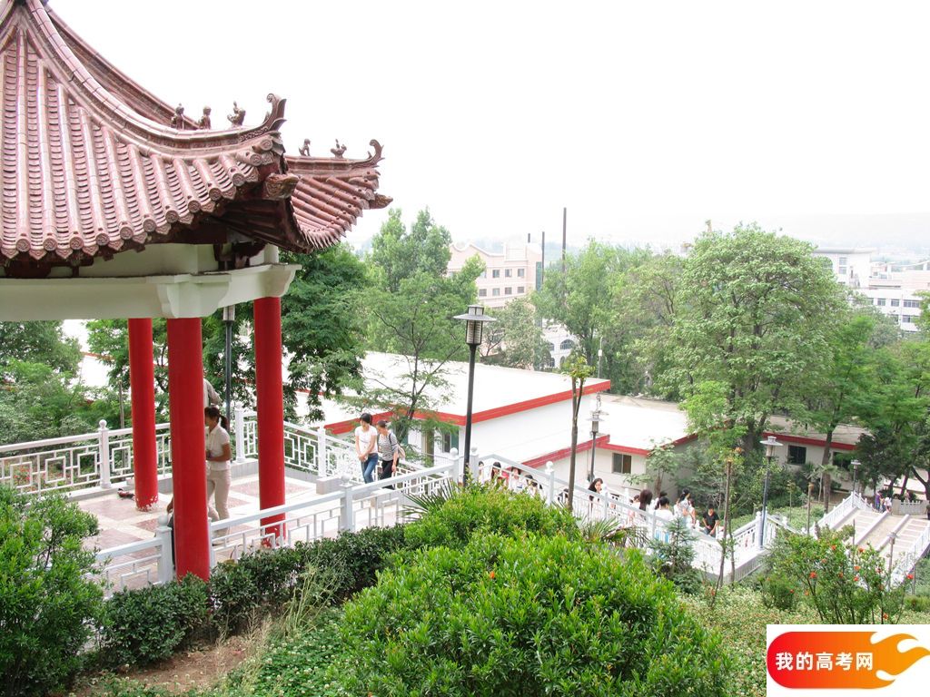 中国人民大学2024年在河北各专业录取分数线（附院校录取分数线录取位次）(图1)