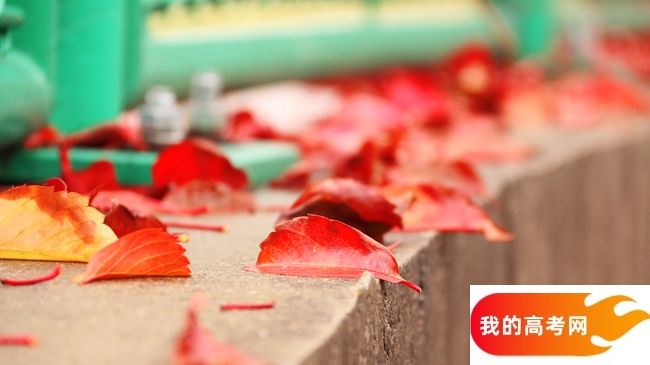 南京航空航天大学2024年在四川录取分数线、对应位次（附近几年最低录取分数线及位次排名）(图1)