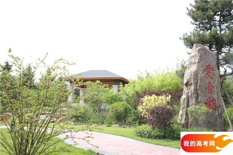 哈尔滨石油学院2024年在河南录取分数线、对应位次（附近几年最低录取分数线及位次排名）(图1)