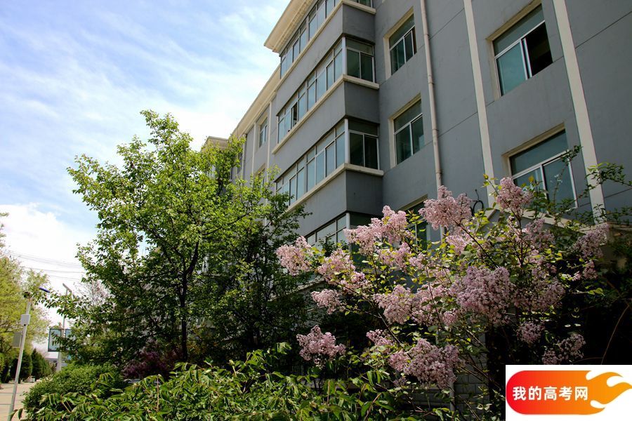 南京师范大学2024年在重庆各专业录取分数线（附院校录取分数线录取位次）(图1)