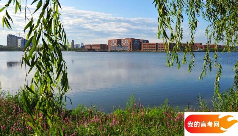 东北大学2024年在山东录取分数线、对应位次（附近几年最低录取分数线及位次排名）(图1)