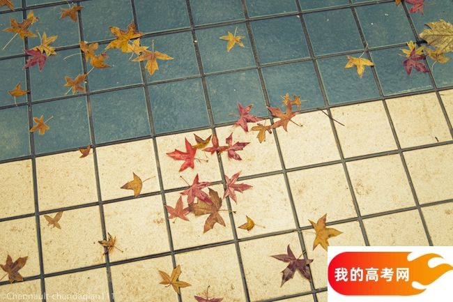 中国人民大学2024年在四川录取分数线、对应位次（附近几年最低录取分数线及位次排名）(图1)