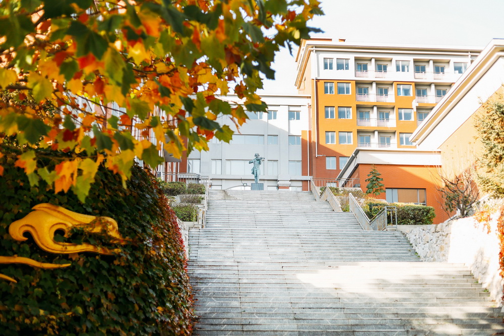 2024年中国戏曲学院在山东录取分数线(附近几年最低位次排名)(图1) 2024年中国戏曲学院在山东录取分数线(附近几年最低位次排名)(图1)