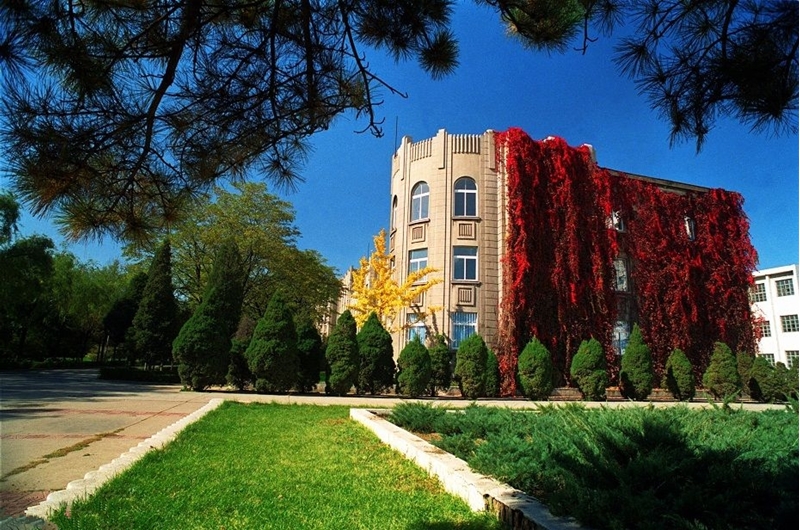 2024年重庆大学在河北录取分数线(附近几年最低位次排名)(图1) 2024年重庆大学在河北录取分数线(附近几年最低位次排名)(图1)