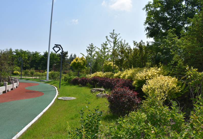 河北考生必读:重庆电子科技职业大学2025招生计划及历年录取分数线及位次(图2) 河北考生必读:重庆电子科技职业大学2025招生计划及历年录取分数线及位次(图2)