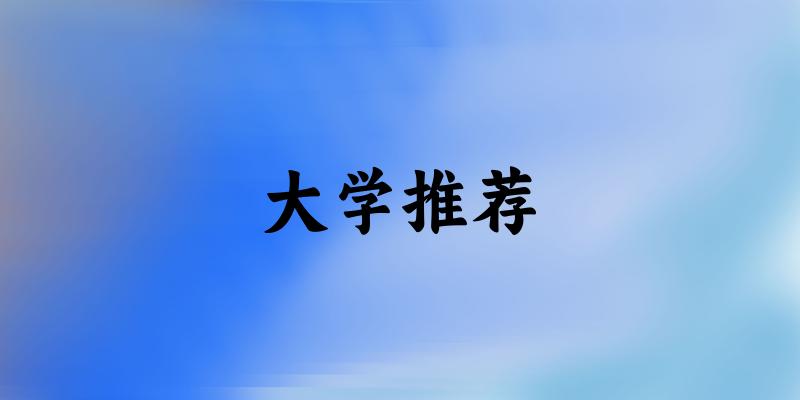 广东高考80000名左右，这些大学值得考虑！（2025参考）