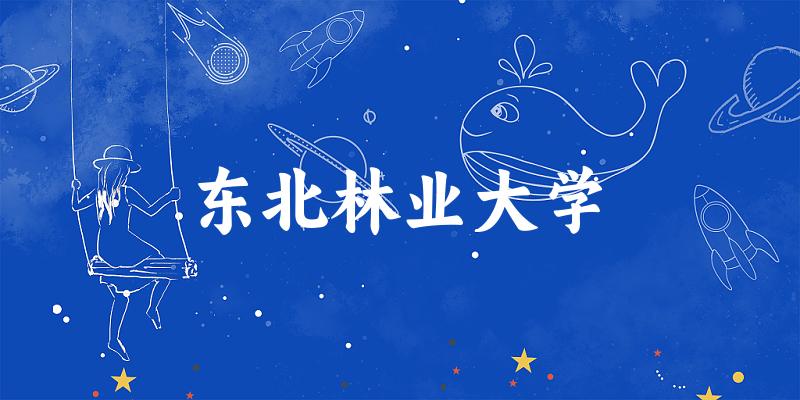 2025东北林业大学在新疆招生计划及录取分数线位次分析(图1) 2025东北林业大学在新疆招生计划及录取分数线位次分析(图1)