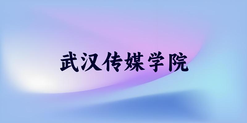 武汉传媒学院2025各省录取分数线汇总