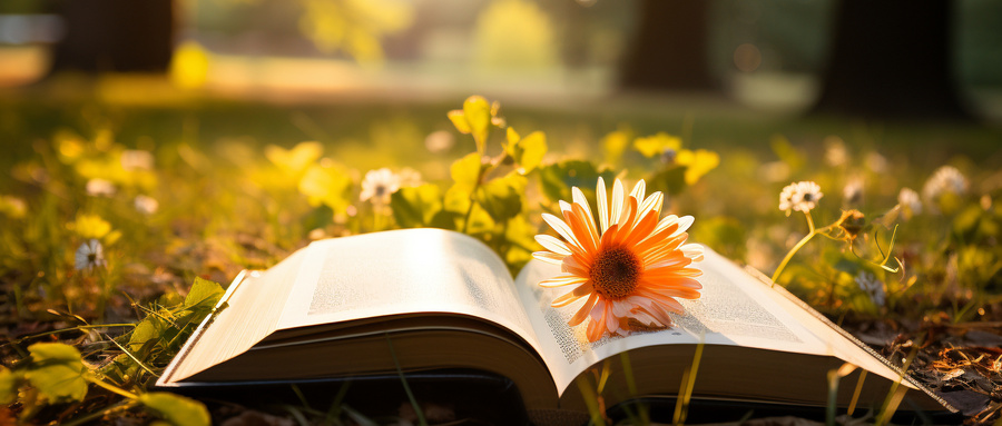 物化地多少分能上一本大学?500分可以吗?(图1) 物化地多少分能上一本大学?500分可以吗?(图1)