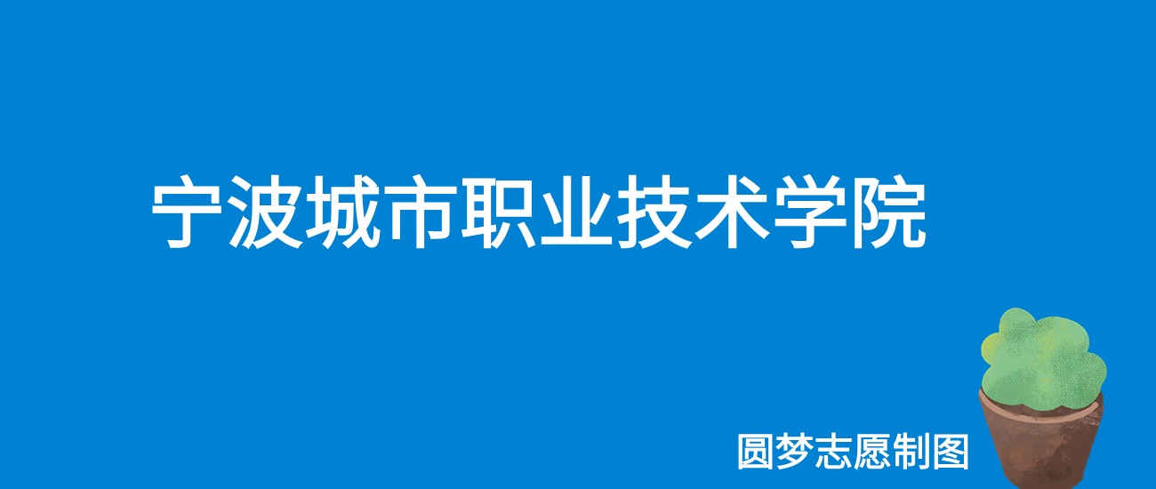 2025宁波城市职业技术学院录取分数线（全国各省最低分及位次）(图1)